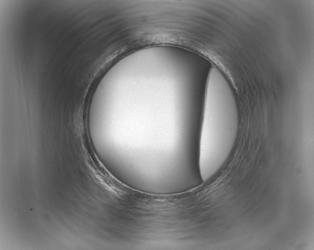 X0000073830390200608101007