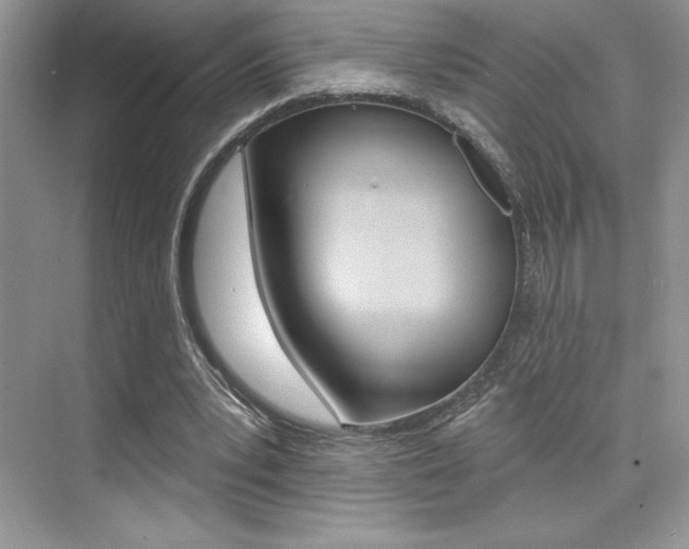 X0000073830391200608101007