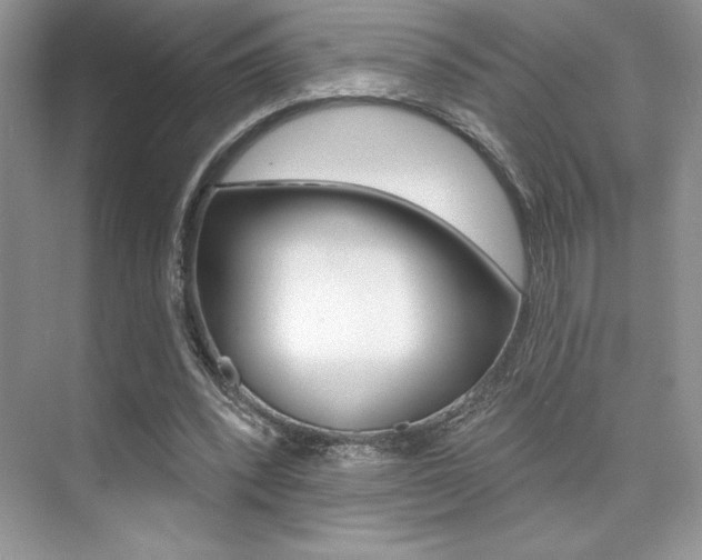 X0000073830392200608101007