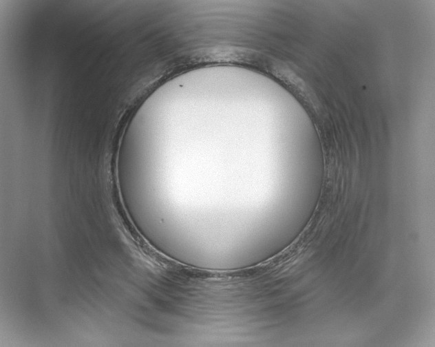 X0000073830394200608101007