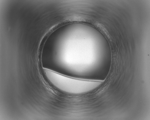 X0000073830395200608101007