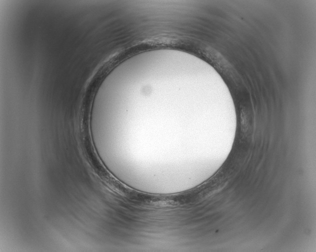 X0000073830396200608101007