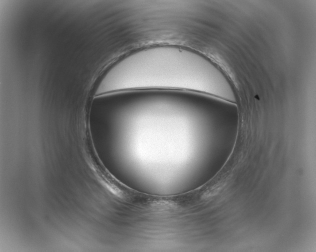 X0000073830397200608101007