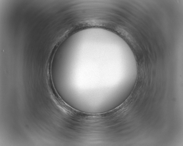 X0000073830398200608101007