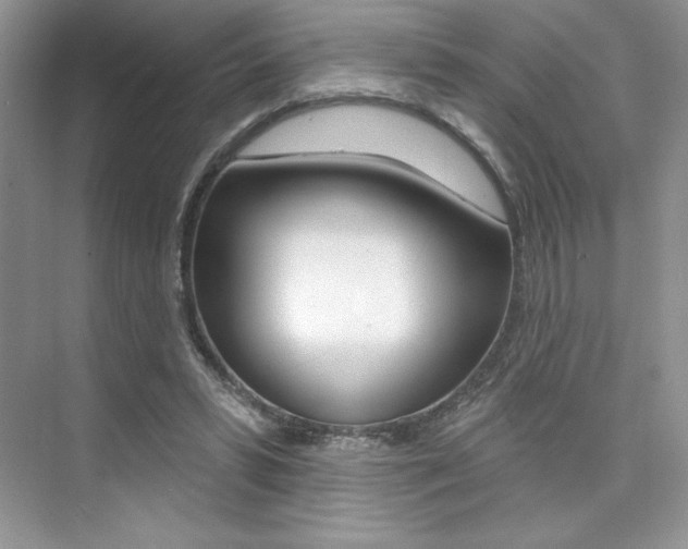 X0000073830399200608101007