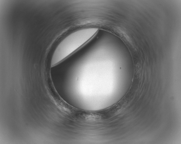 X0000073830400200608101007