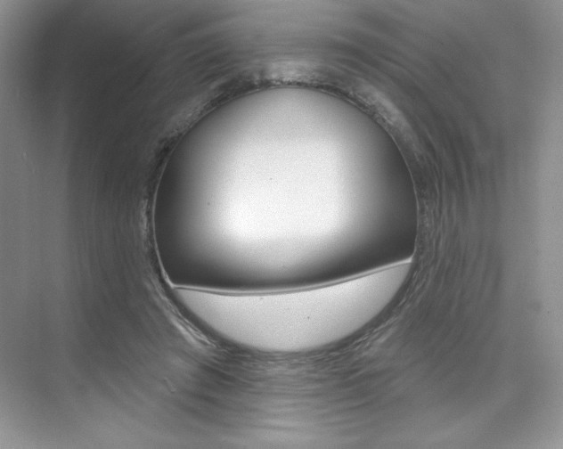 X0000073830401200608101007