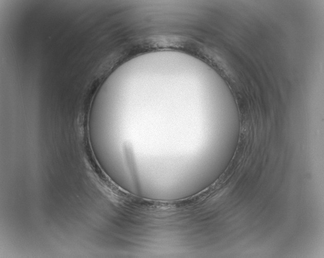 X0000073830402200608101007