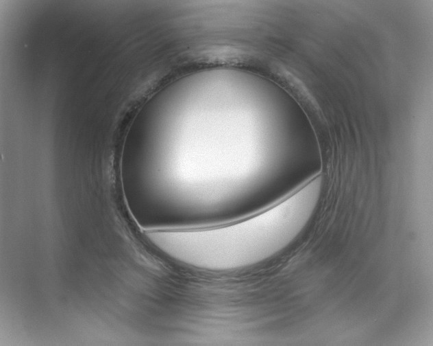 X0000073830403200608101007