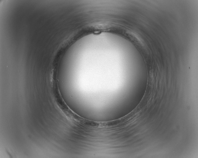 X0000073830404200608101007