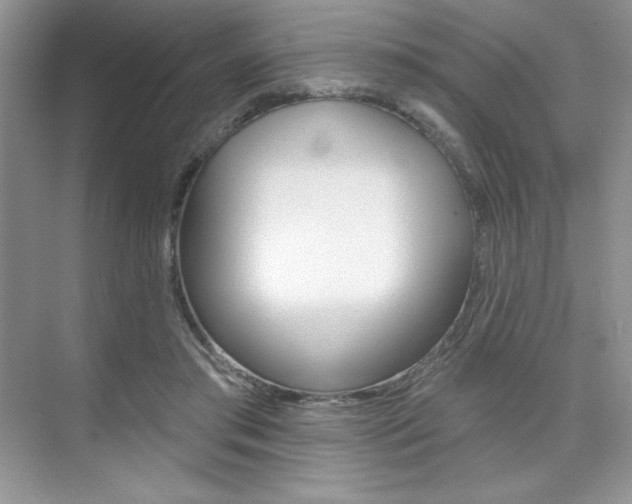 X0000073830405200608101006