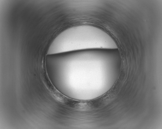 X0000073830406200608101006