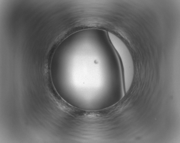 X0000073830407200608101006