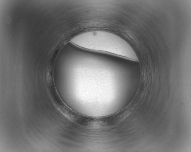 X0000073830408200608101006