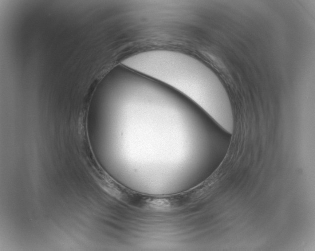 X0000073830409200608101006