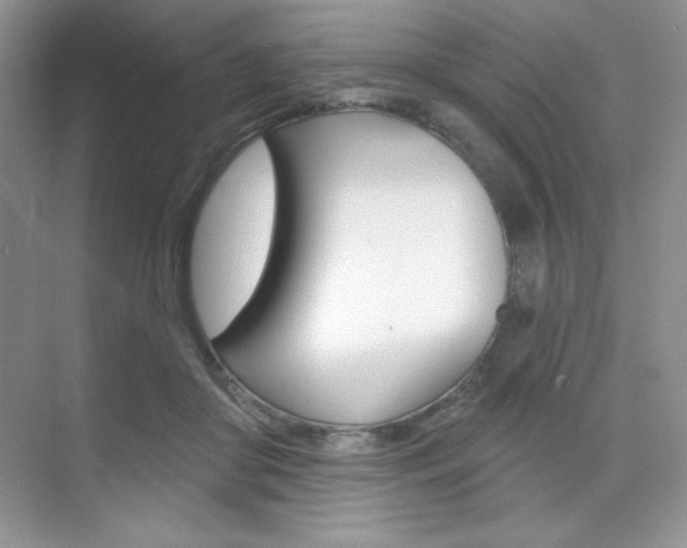 X0000073830410200608101006