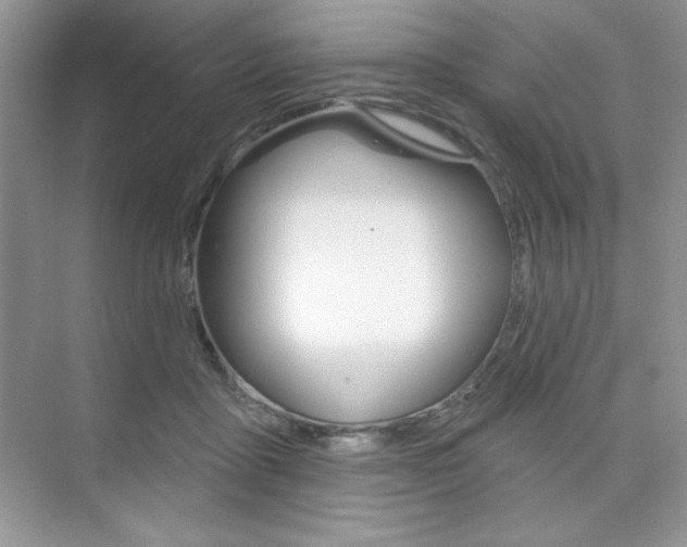 X0000073830411200608101006