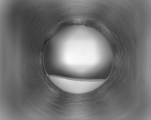 X0000073830413200608101006