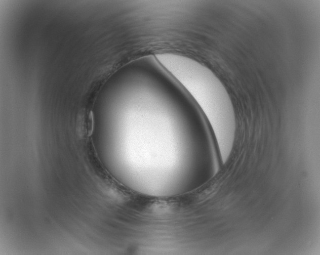 X0000073830416200608101006