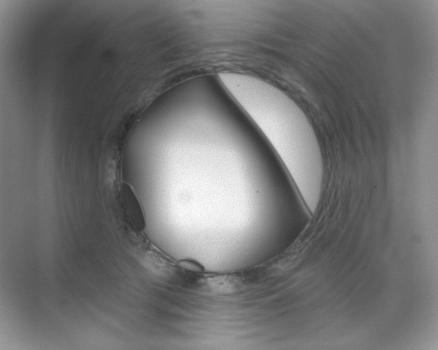 X0000073830417200608101006