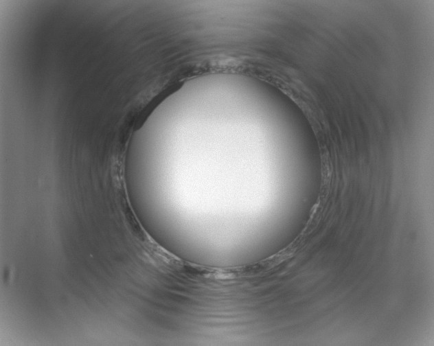 X0000073830419200608101006