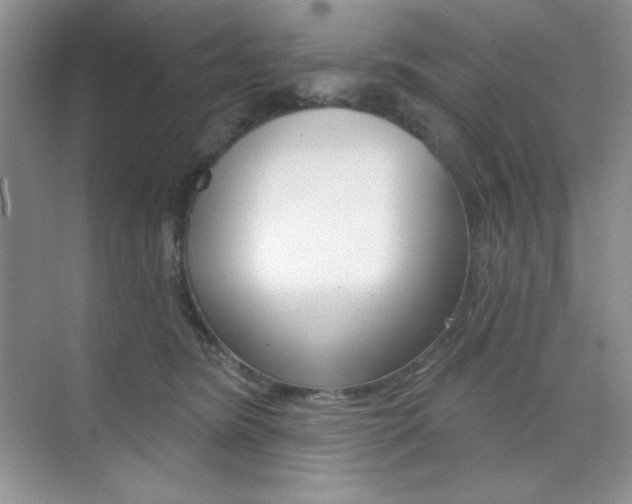 X0000073830420200608101006