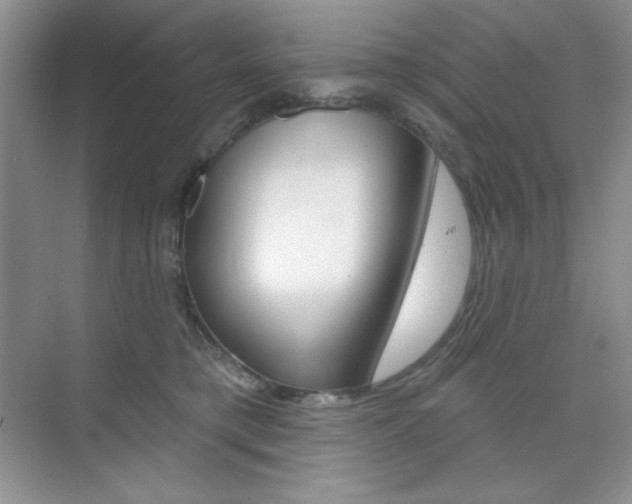 X0000073830421200608101006