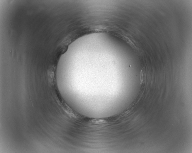 X0000073830427200608101006