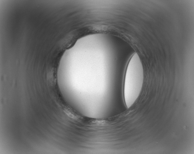 X0000073830428200608101006