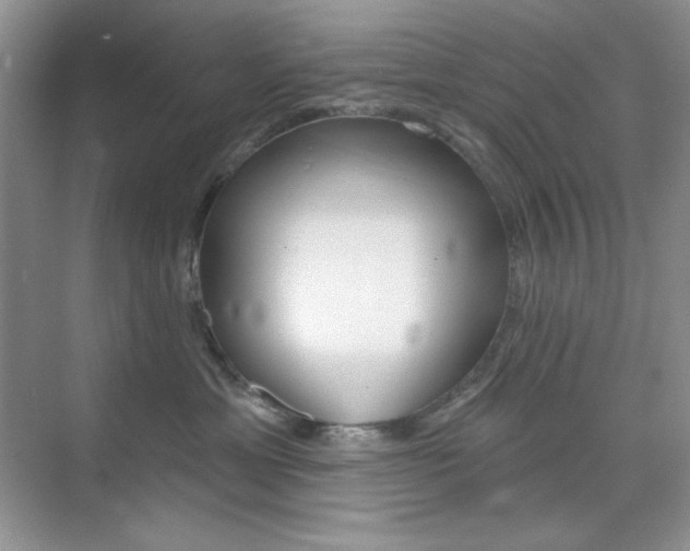 X0000073830429200608101006