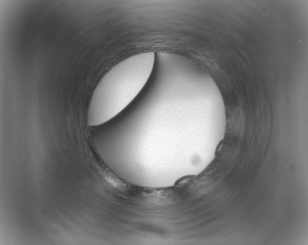 X0000073830430200608101006