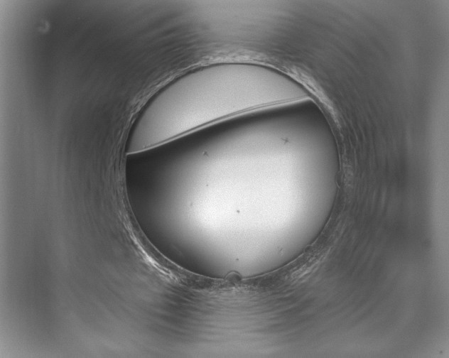 X0000073830433200608101005