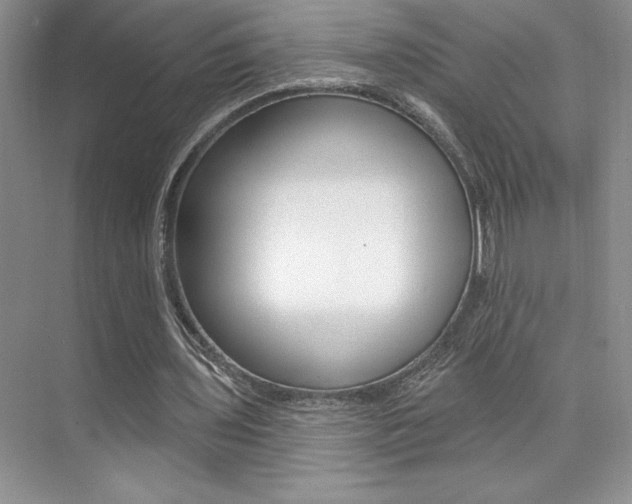 X0000073830435200608101005