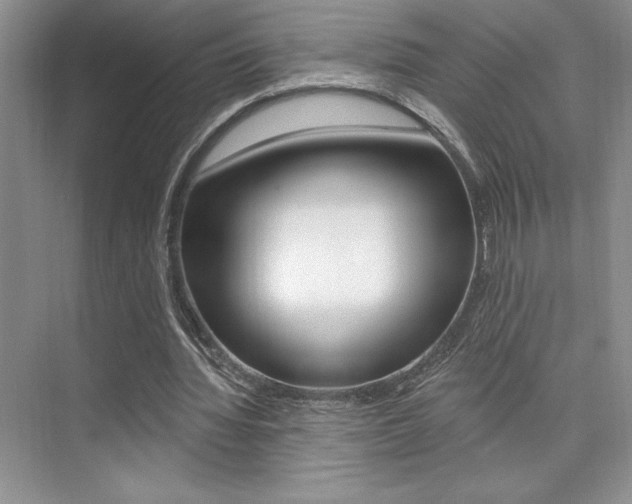 X0000073830436200608101005