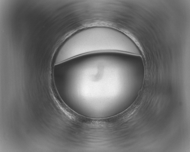 X0000073830437200608101005