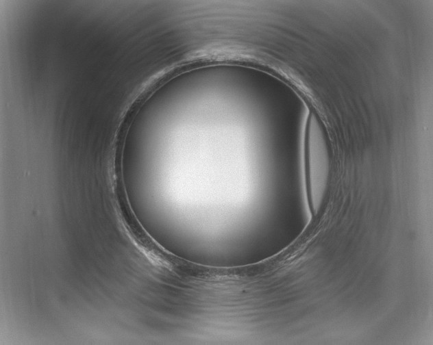 X0000073830438200608101005