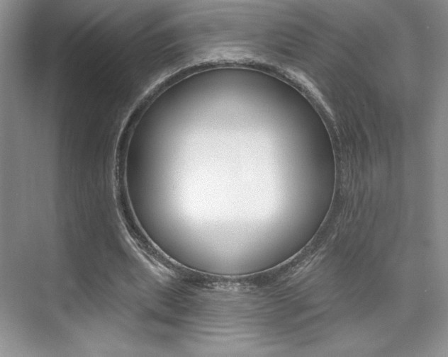 X0000073830439200608101005