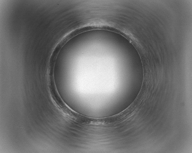 X0000073830440200608101005