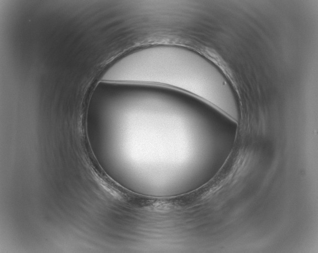 X0000073830441200608101005