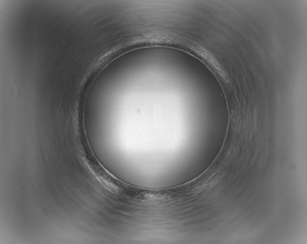 X0000073830442200608101005