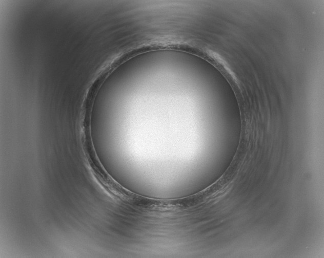 X0000073830443200608101005