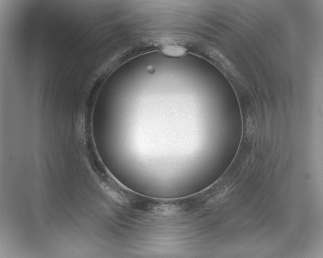 X0000073830444200608101005