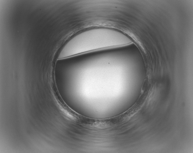 X0000073830445200608101005