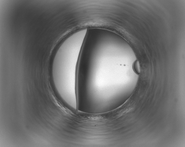 X0000073830446200608101005