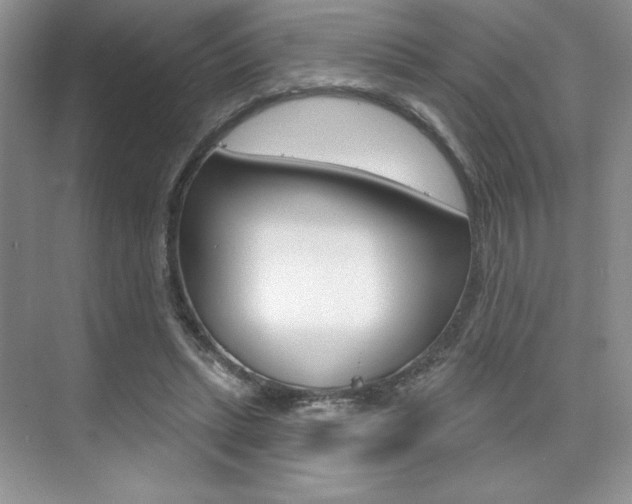 X0000073830447200608101005