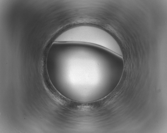 X0000073830448200608101005