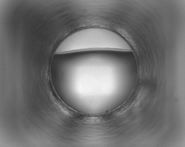 X0000073830449200608101005