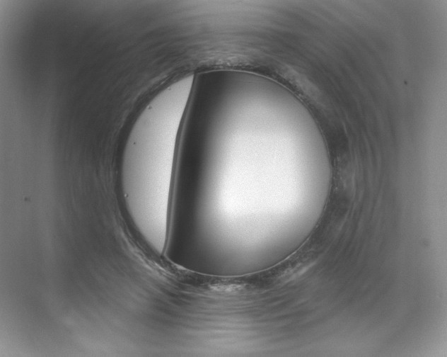 X0000073830450200608101006