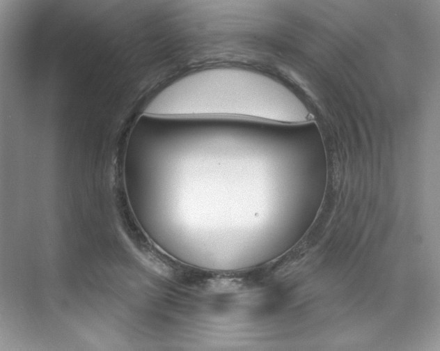 X0000073830451200608101006