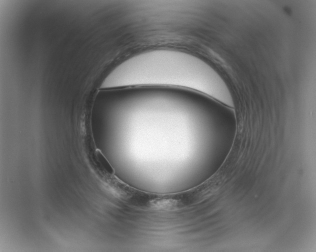 X0000073830452200608101006